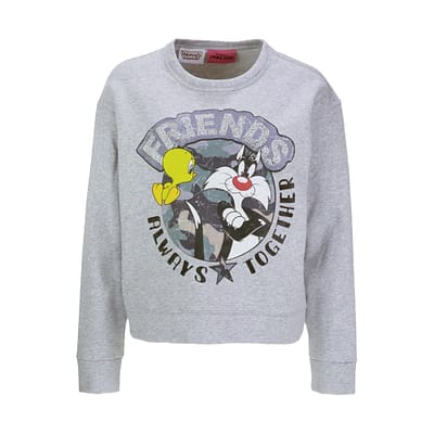Frogbox • grijze sweater Friends