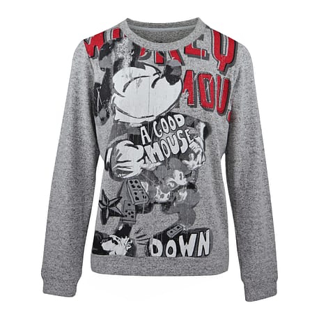 Frogbox • grijze Looney tunes hoodie • shop BollyWolly