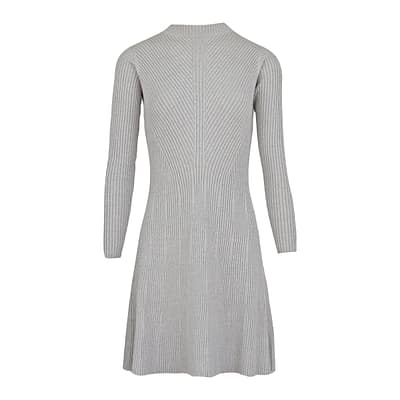 Janice • zilver grijze jurk Frankie