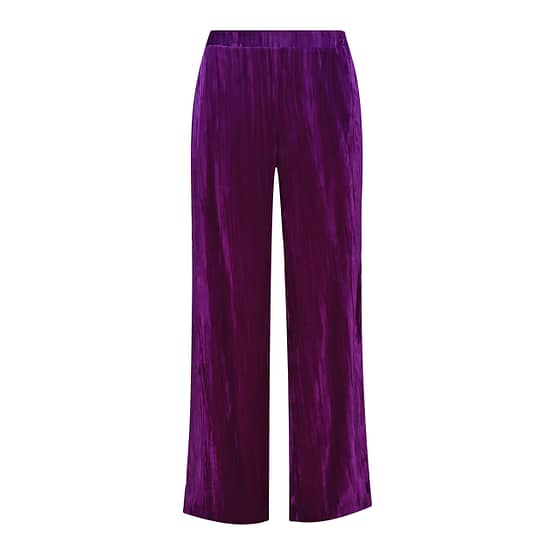 Toupy • paarse velvet broek Voltaire