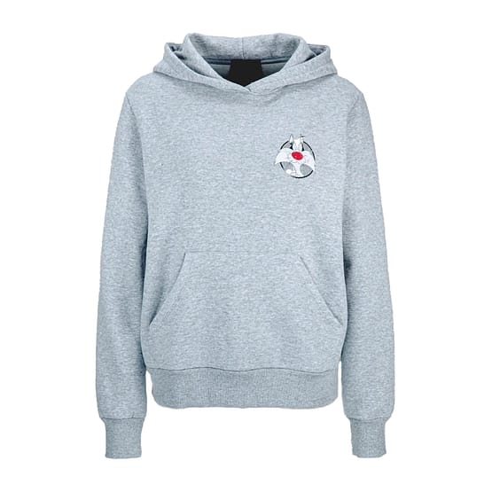 Frogbox • grijze Looney tunes hoodie